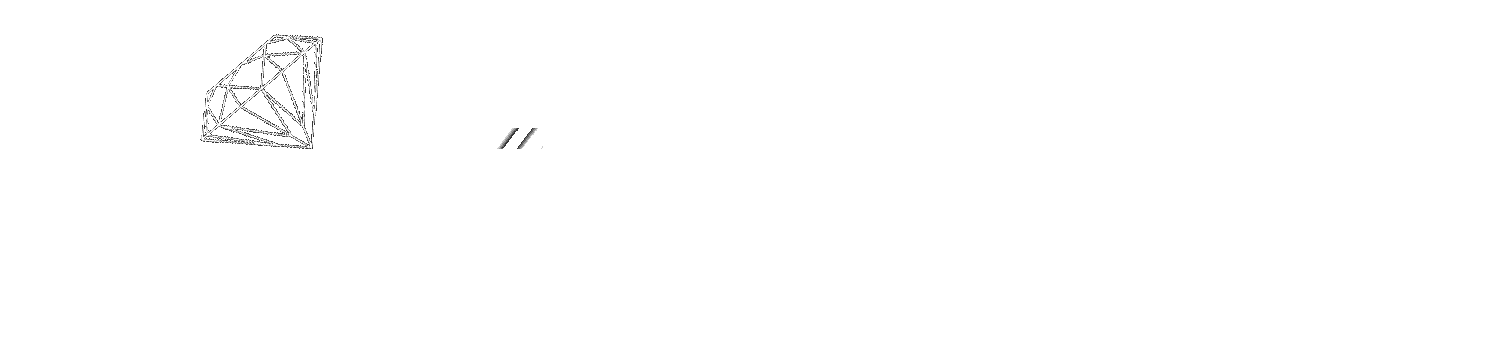 Elite Multiservizi R.E.